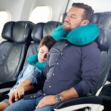 Zip And Go Neck Pillow Suitcase Pattern and Sewing Class