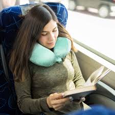 Zip And Go Neck Pillow Suitcase Pattern and Sewing Class