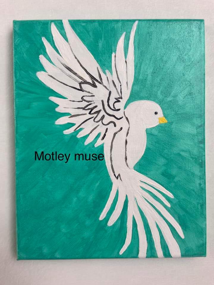 Dove Painting